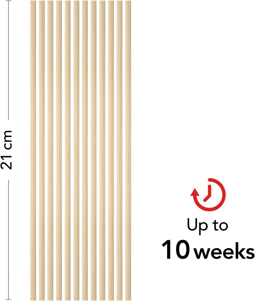 Reed Diffusor - Raumduft