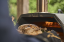 Lifestyle  Karu 2 Pro Roast Chicken.webp